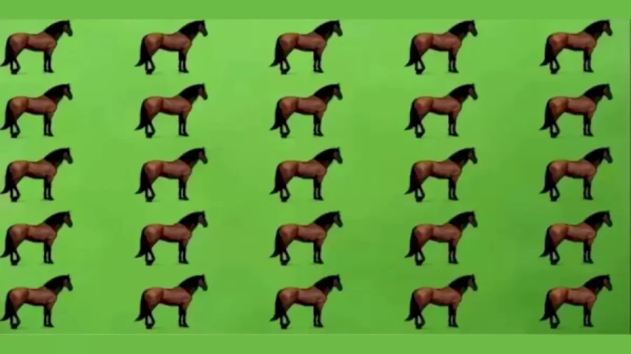 Brain Teaser Logic Puzzle: Can You Solve The 25 Horses Puzzle Asked In Google And Microsoft Interviews?