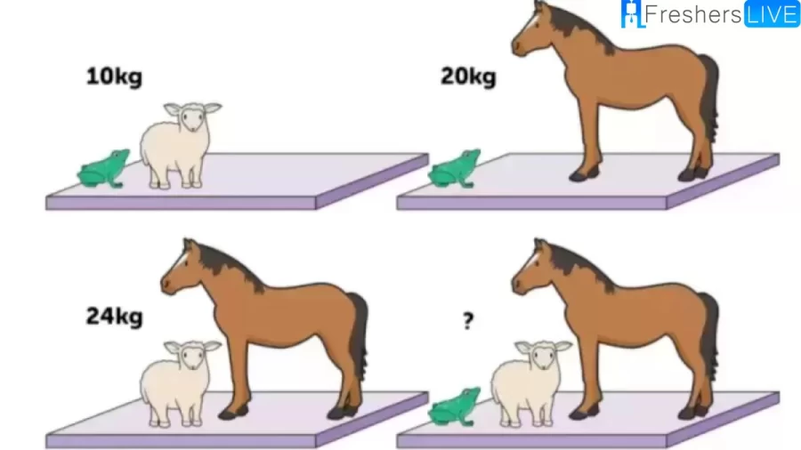 Brain Teaser Maths Puzzle: Can You Guess The Weight Of Each Animal 18 Secs?