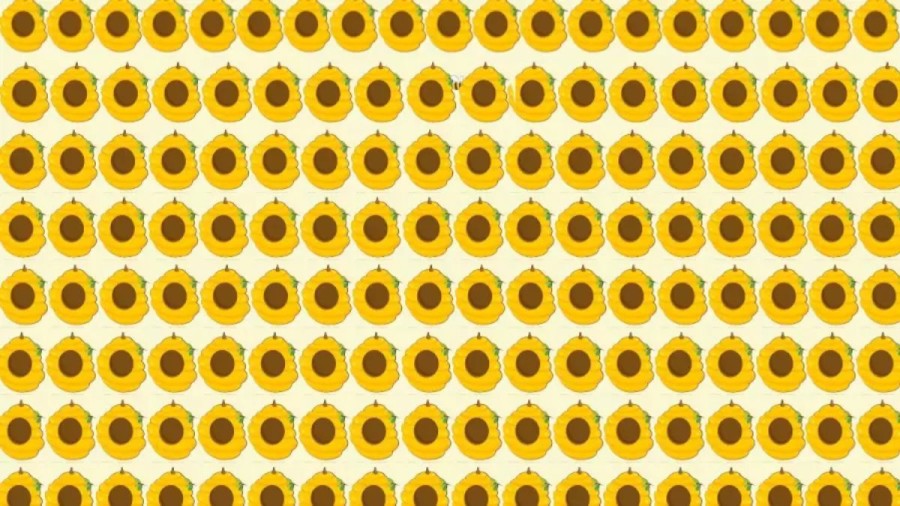 Brain Teaser Picture Puzzle: A Bee is Hiding Amongst these Honey Combs Can You Spot the Bee?