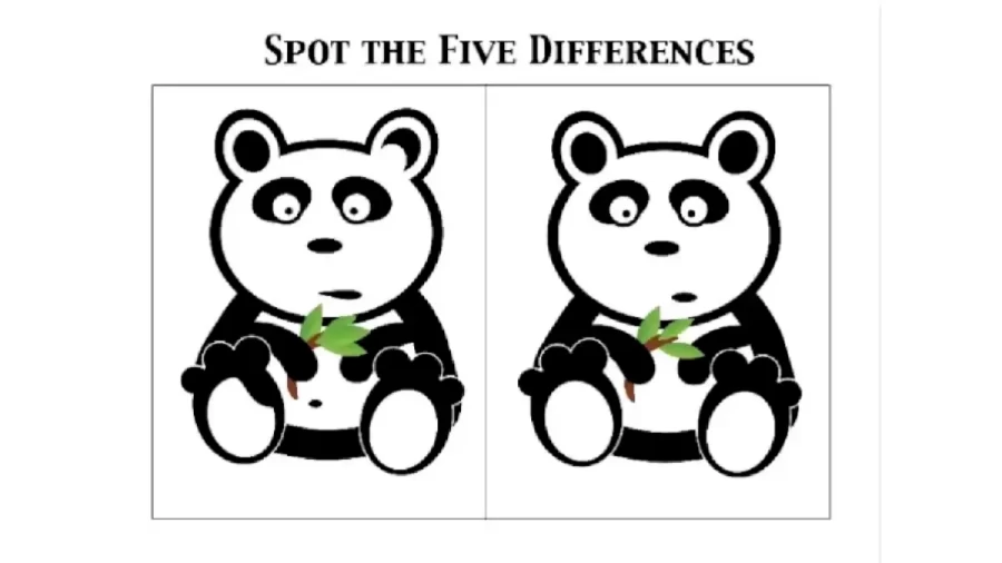 Brain Teaser Picture Puzzle: Can You Spot 5 Differences?