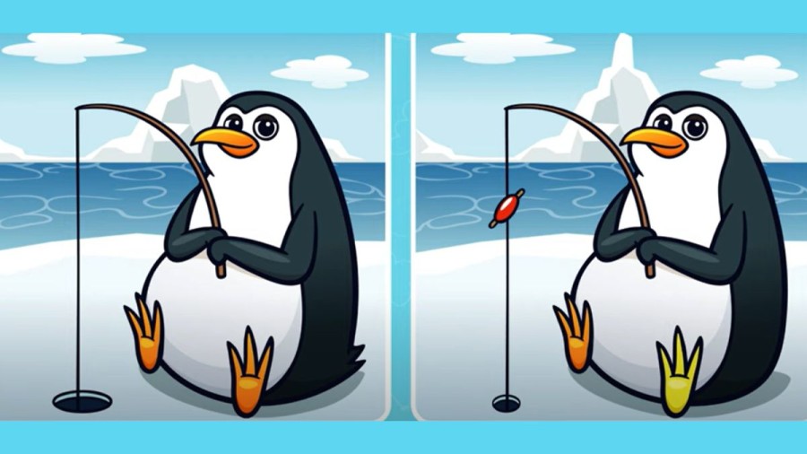 Brain Teaser Picture Puzzle: Can you spot 5 differences between these two Images?