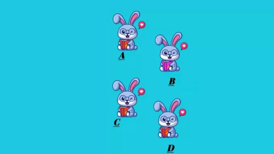 Brain Teaser Picture Puzzle: Find The Odd One Out In 12 Secs