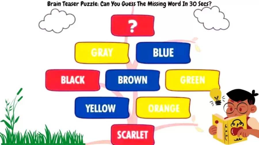 Brain Teaser Puzzle: Can You Guess The Missing Colour In 20 Secs?