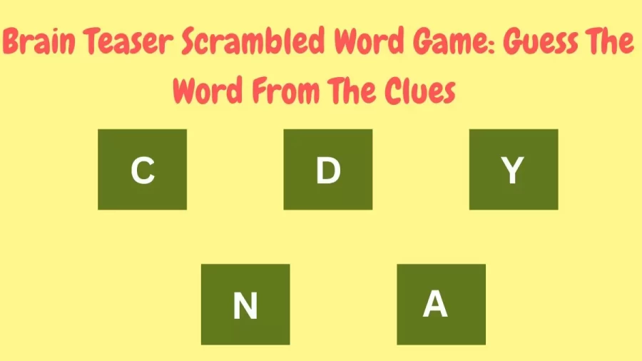 Brain Teaser Scrambled Word Game: Guess The Word From The Clues