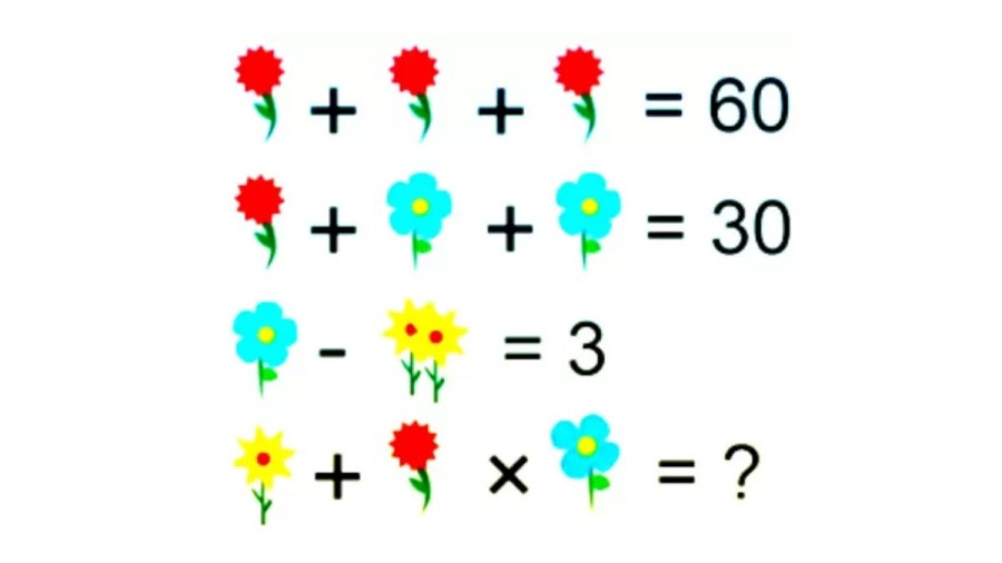 Brain Teaser: Solve and find the value of the Flowers
