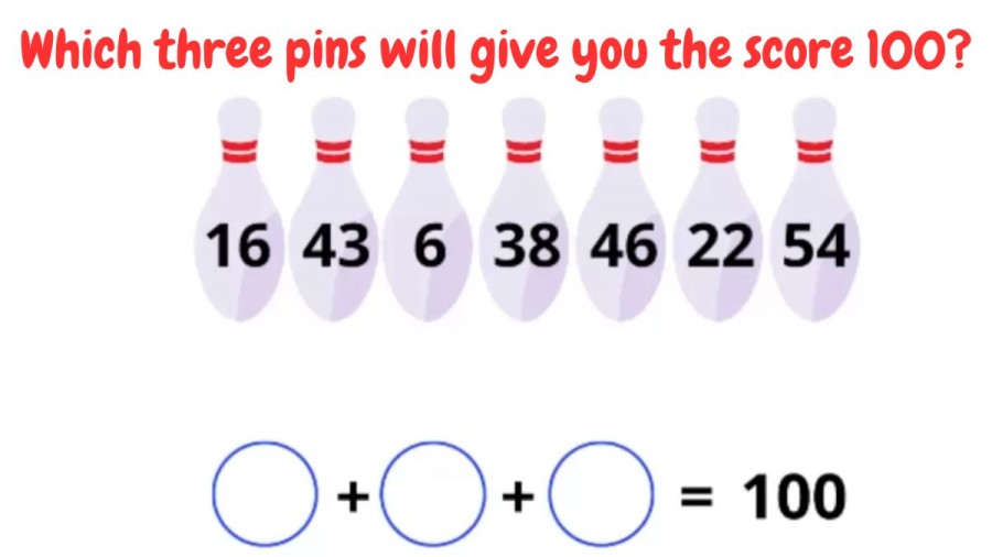 Brain Teaser Tricky Puzzle - Which three pins will give you the score 100?