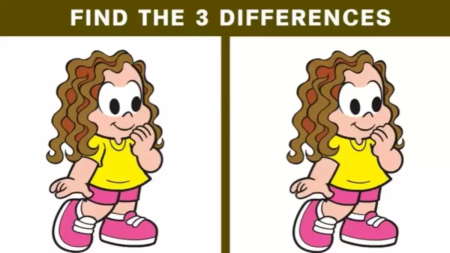 Brain Teaser Visual Puzzle - How Many Differences Can You See?