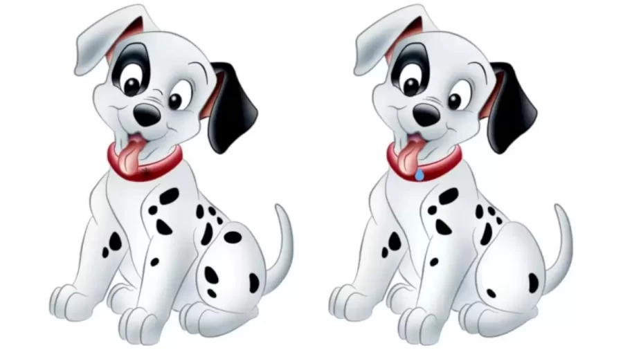 Can You Find 5 Differences Between These Two Pictures? Brain Teaser Of The Day