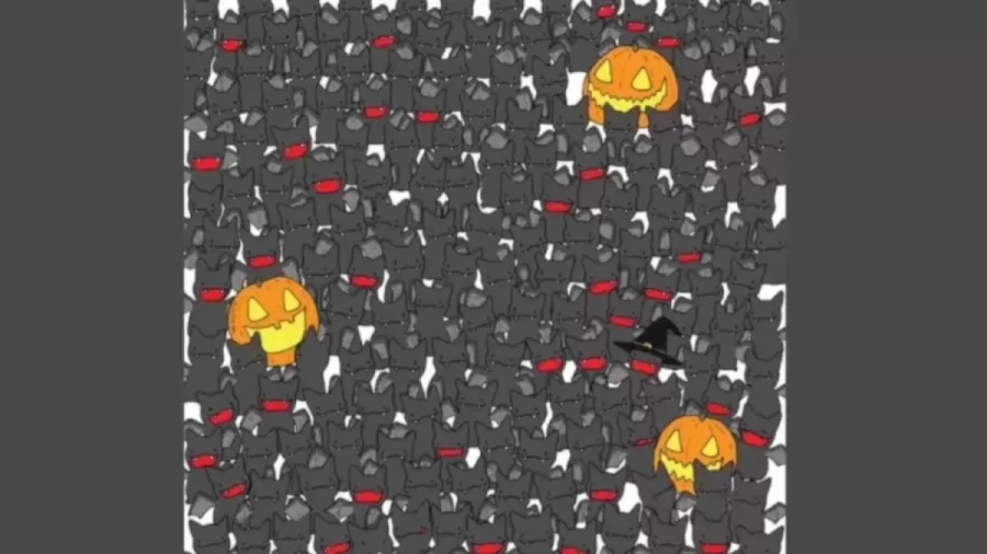 Can You Find The Hidden Cat Among All The Bats Within 20 Seconds? Explanation And Solution To The Cat Optical Illusion