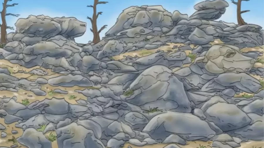 Can You Find the Hidden Dog In The Mountains? Explanation And Solution To The Optical Illusion