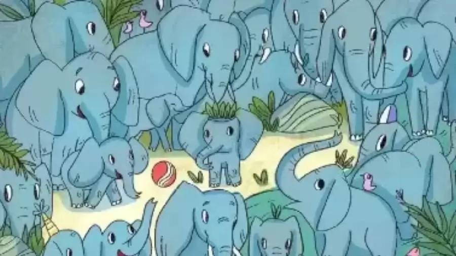 Can You Find the Hidden Rhino Among the Elephants Within 20 Secs? Explanation and Solution to the Optical Illusion