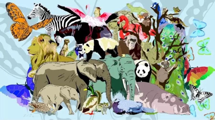 Can You Find the Little Tiger Among these Animals in 12 Seconds? Explanation and Solution to the Optical Illusion