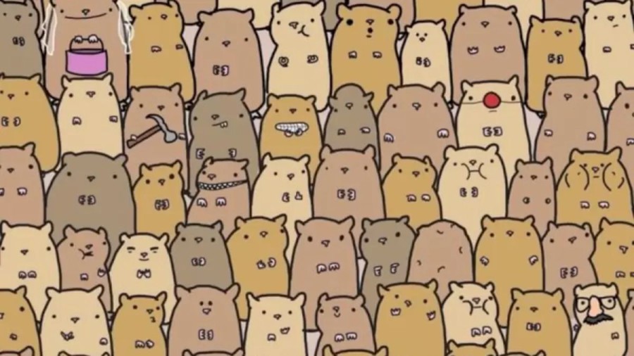 Can You Find the Potato Among these Hamsters within 12 Seconds? Explanation and Solution to the Optical Illusion