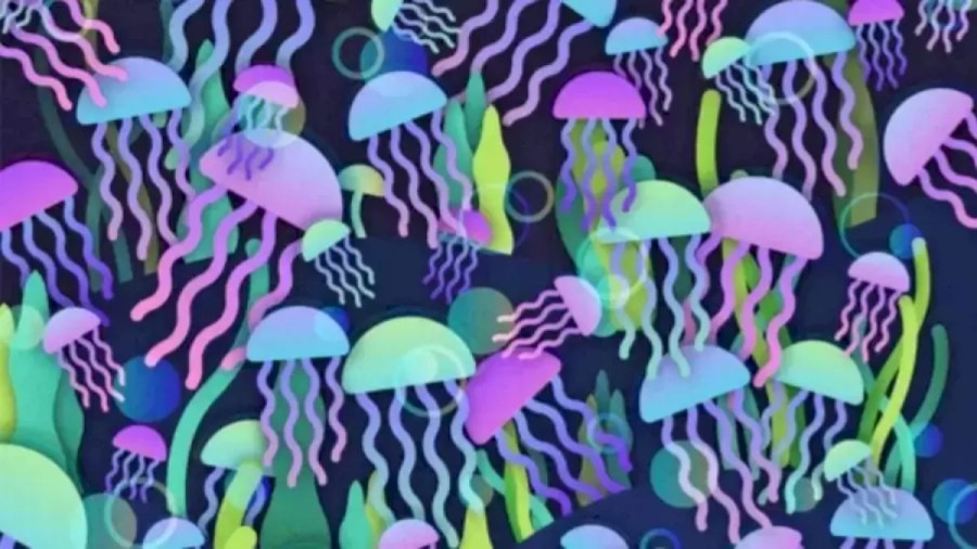 Can You Locate The Hidden Mushroom Among These Jellyfish Within 14 Seconds? Explanation And Solution To The Hidden Mushroom Optical Illusion