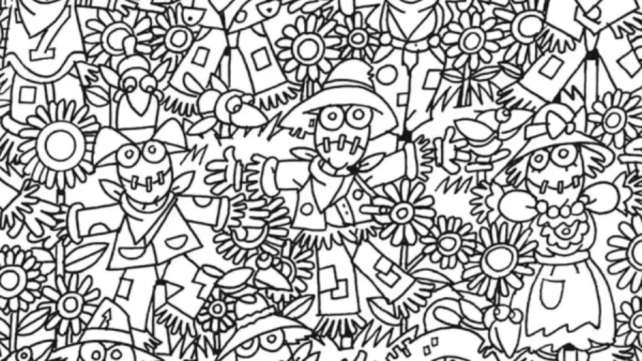 Can You Spot The Hidden Birdhouse Among These Scarecrows Within 10 Seconds? Explanation And Solution To The Hidden Birdhouse Optical Illusion