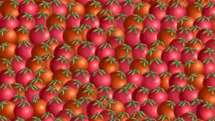 Can You Spot the Hidden Christmas Ball Among these Tomatoes Within 20 Seconds?