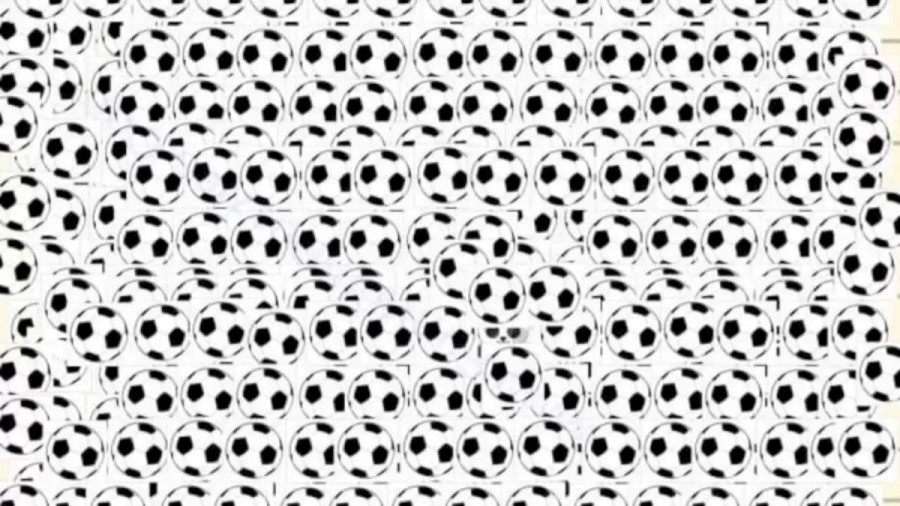 Can You Spot the Panda Hidden Among the Balls? Explanation and Solution to the Optical Illusion