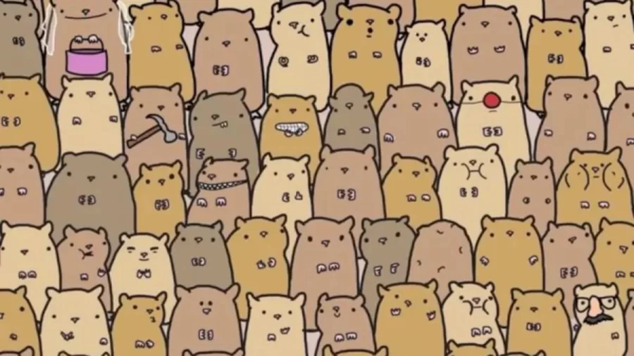 Can You Spot the Potato Among these Hamsters within 8 Seconds? Explanation And Solution To The Optical Illusion