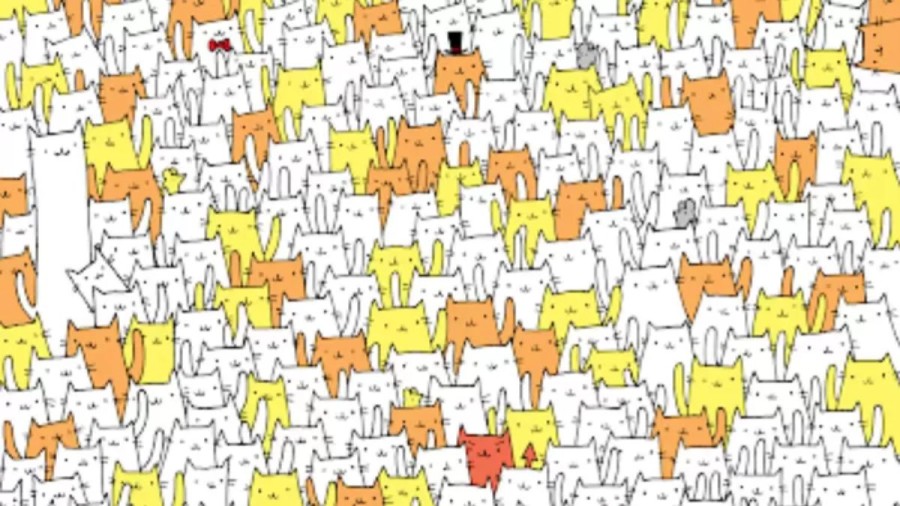 Find and Seek Optical Illusion: Can You Spot the Hidden Bunny Among The Cats?