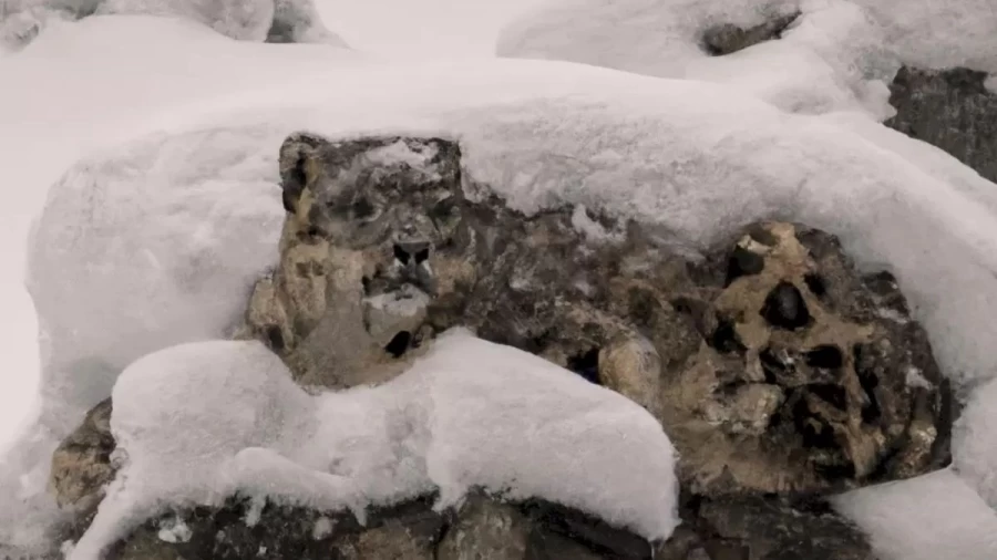 Is That A Snow Leopard? Do You See It In This Snow Mountain Optical Illusion?
