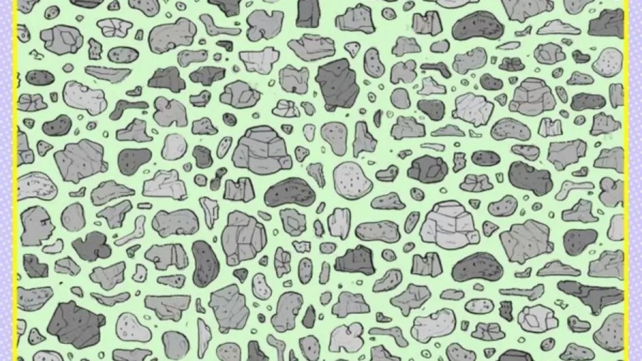 It Is Not Just Some Rocks. There Is A Hidden Face Among Them. Can You Spot It In This Optical Illusion?