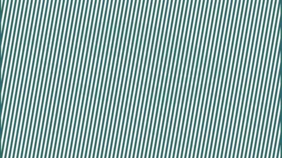 Only Hawk Eyes People can spot Hidden Turtle behind lines in 10 Secs - Explanation and Solution to this Turtle Optical Illusion