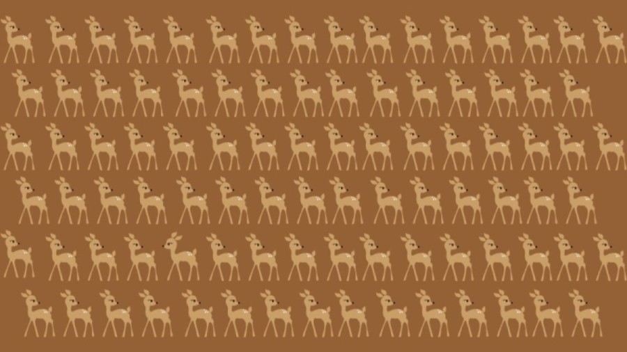 Optical Illusion Brain Test: You Got 15 Seconds. Try To Identify The Different Deer In This Image