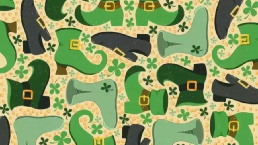 Optical Illusion: Can You Find The Hidden Three Leaf Clover in 12 Seconds?