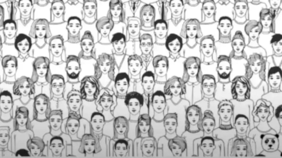Optical Illusion: Can You Find the Panda Among these Humans in 10 Seconds?