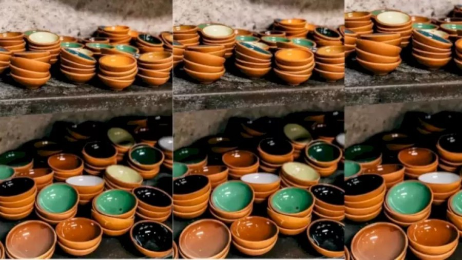 Optical Illusion: Can you spot the Housefly among these Bowls within 15 Seconds?