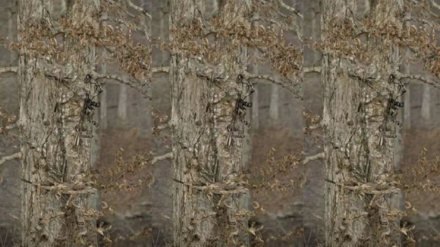 Optical Illusion Challenge: Camouflaging At Best! Do You Notice The Perfectly Camouflaged Sniper In This Image