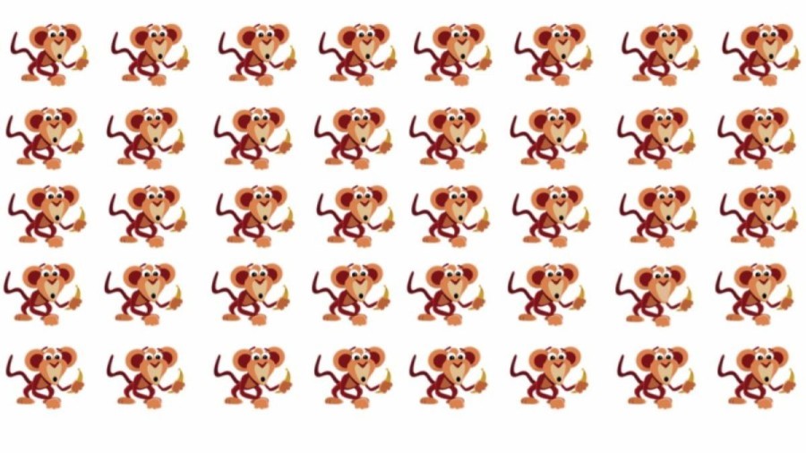 Optical Illusion Challenge: Can You Locate The Odd Monkey In This Picture In Less Than 20 Seconds?