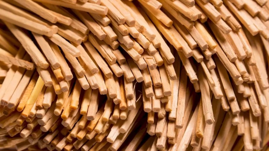 Optical Illusion Challenge: Finding The French Fry Among These Wooden Stick Is Not Easy. Do You Want To Try It?
