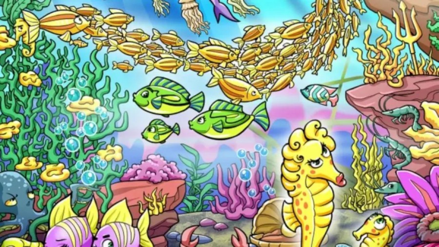 Optical Illusion Challenge: Help the Seahorse to Locate Her Little Boy in this Picture