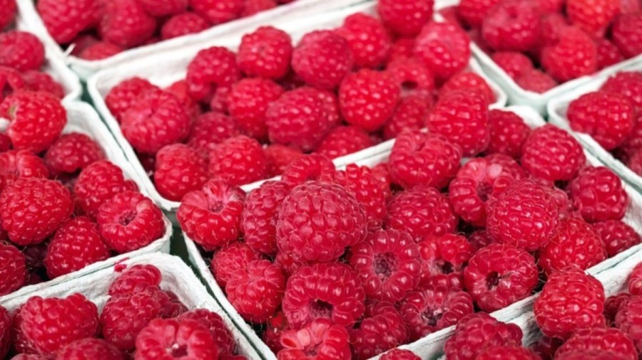 Optical Illusion Challenge: If you have eagle vision find the Ruby Stone among the Raspberries within 20 seconds