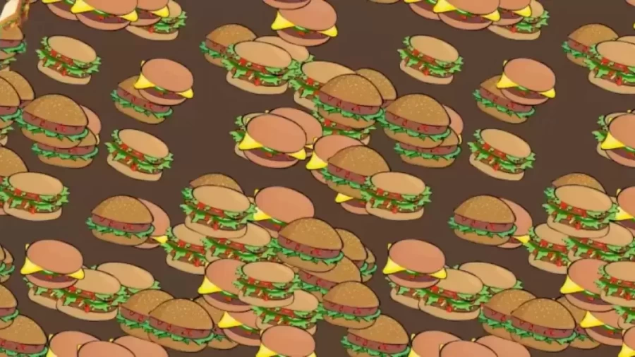 Optical Illusion Eye Test: Can You Find The Sandwich Among These Burgers 3 Seconds?