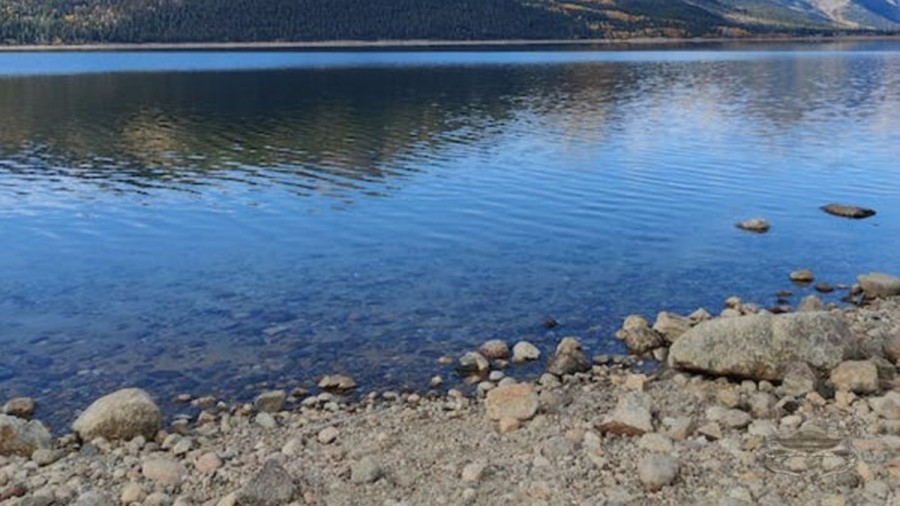 Optical Illusion Eye Test: Do you see the Crab in this Lake image?
