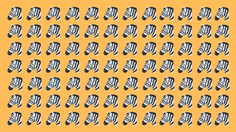 Optical Illusion Eye Test: One Of These Zebras Is Different From The Others. Do You See It?