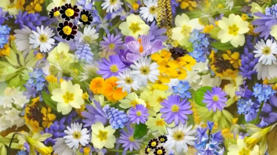 Optical Illusion Eye Test: Spot The Hidden Grape Among These Flowers Within 15 Seconds?