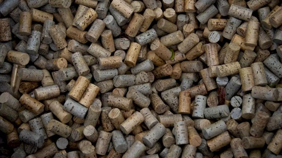 Optical Illusion Find and Seek: Search the Bullet in this Heap of Corks