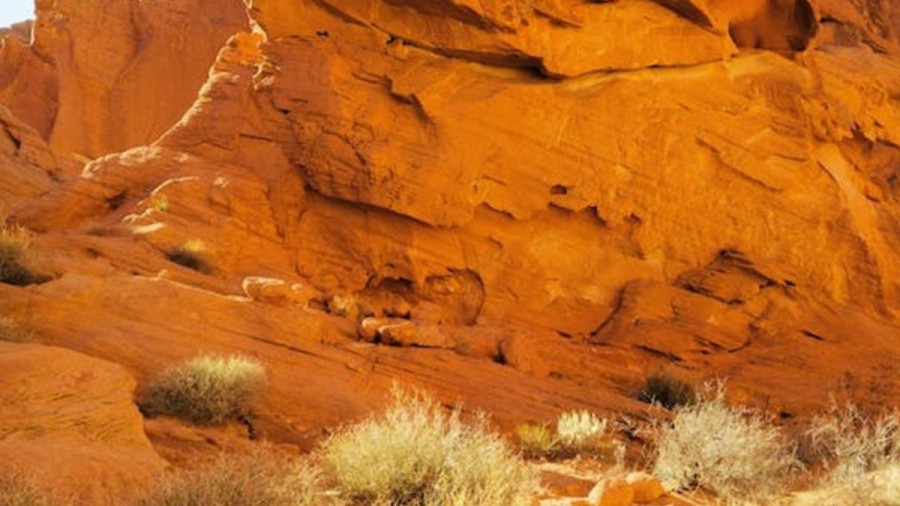 Optical Illusion For Eye Test: Are Your Eyes Sharper Enough To Spot The Gazelle In This Rock Formation?