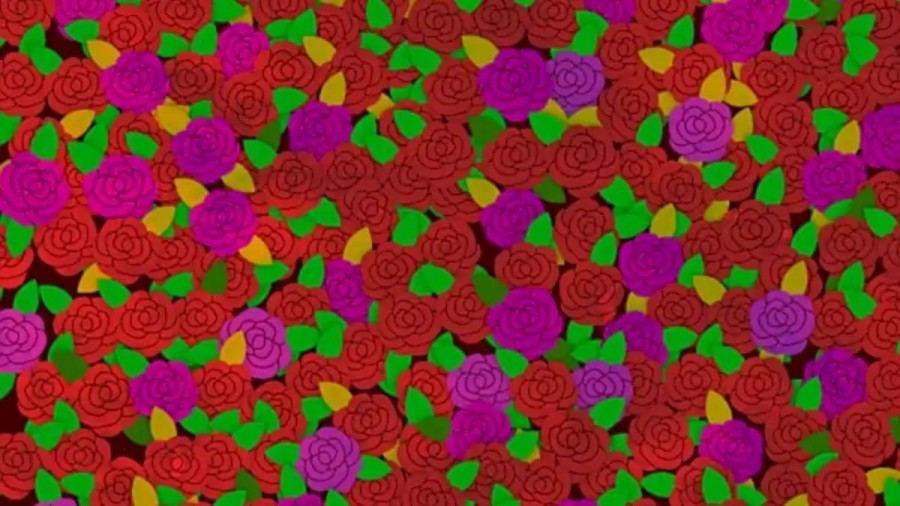 Optical Illusion For Eye Test: Can You Detect The Ruby Ring Among The Flowers In This Picture?