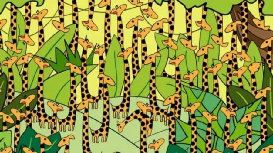 Optical Illusion For IQ Test: Locate the Snake Among the Giraffe Within 16 Secs