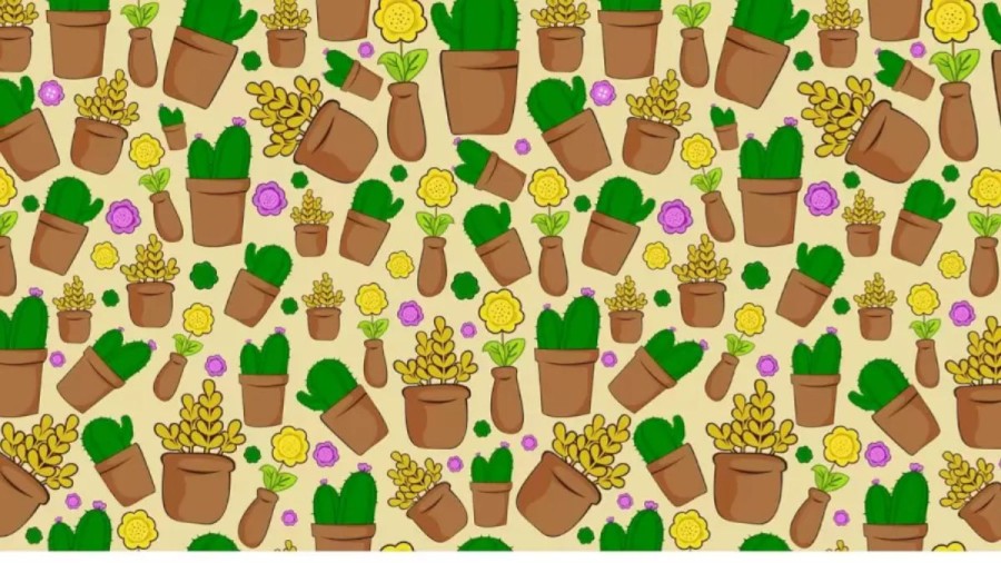 Optical Illusion For Visual Test: Can You Spot The Button Among These Flowers In Less Than 20 Seconds?