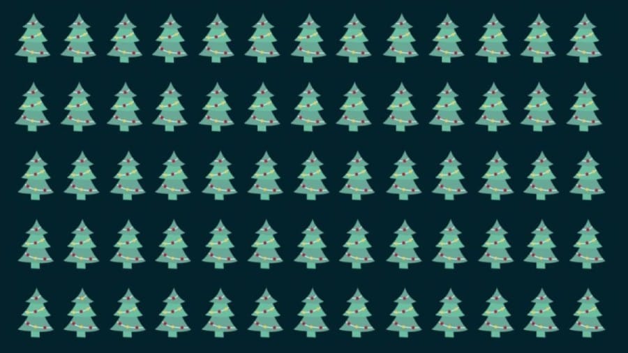 Optical Illusion To Test Your Eyes! You Have Hawk Eyes If You Locate The Odd Christmas Tree In This Image In Less Than 25 Seconds