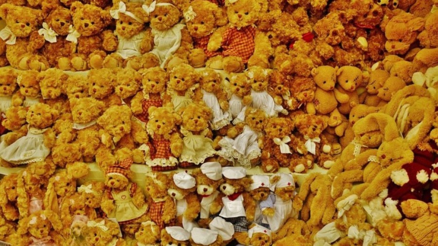 Optical Illusion Visual Test: You Need To Have Eagle Eyes To Locate The Poodle Dog Among These Teddies