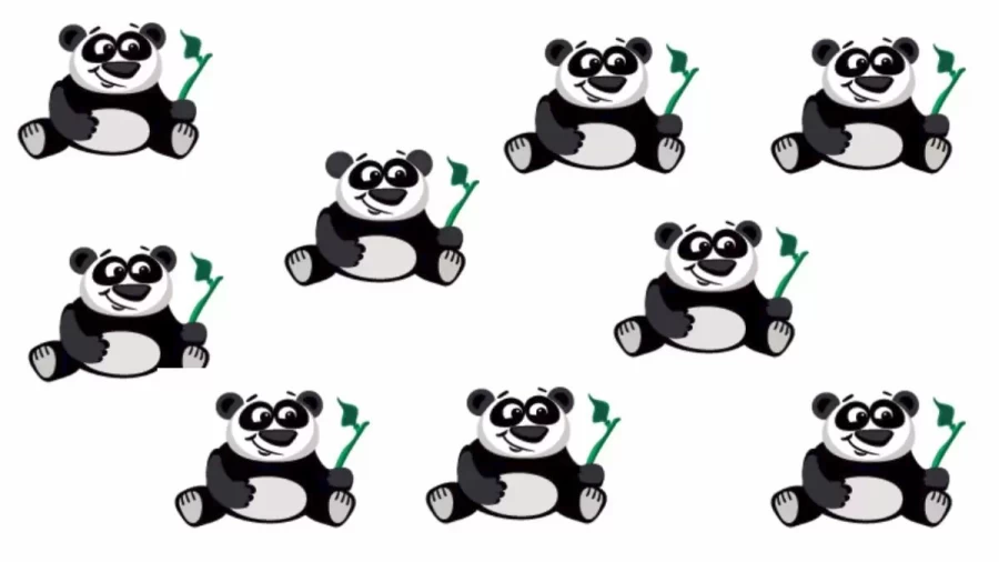 Out Of 100 People, Only 10 Can Find The Different Panda In This Optical Illusion In Less Than 15 Seconds. Can You?