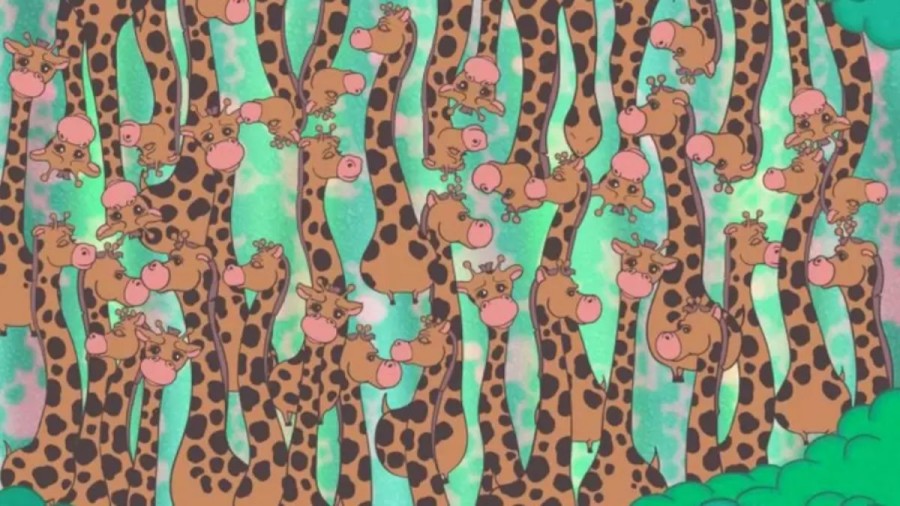 There Is A Snake Hidden Among These Giraffes. Can You Locate It Within 15 Seconds In This Optical Illusion?