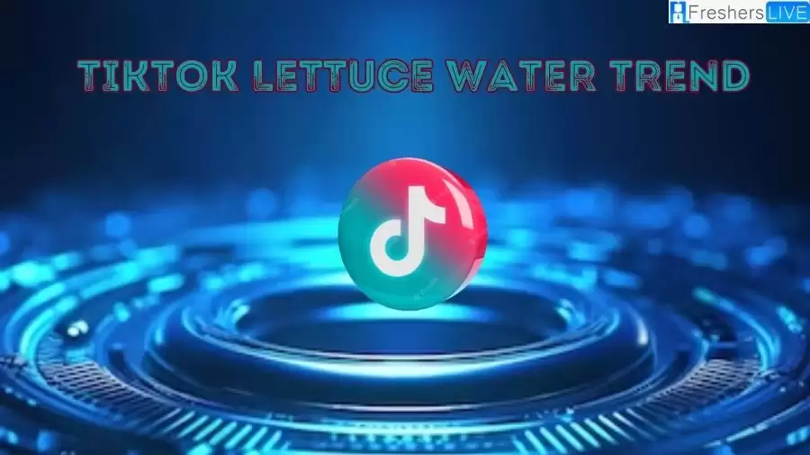 TikTok Lettuce Water Trend: What is Lettuce Water Trend on TikTok? Can Lettuce Water Reelly Help You Sleep?