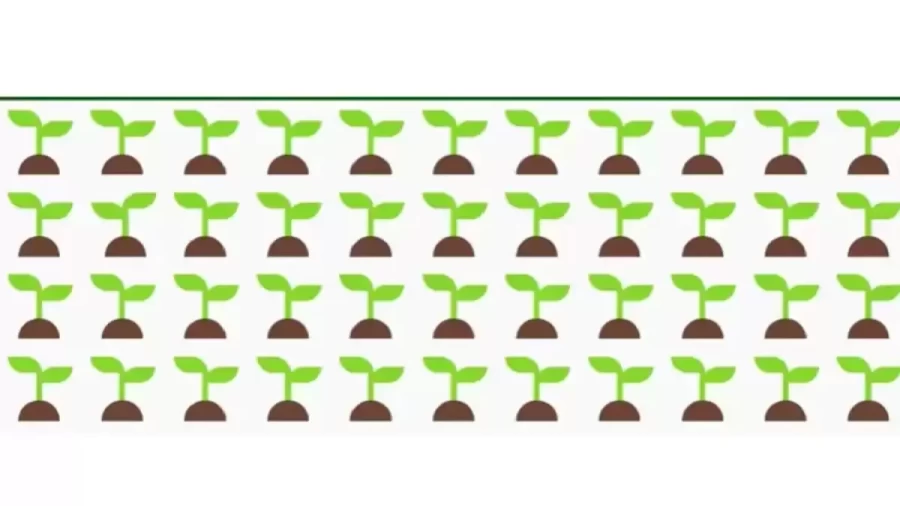 Ultimate Brain Teaser: Spot The Odd Emoji IN 20 Secs